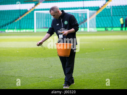 Ground staff prepare the pitch before the Ladbrokes Scottish Premiership match at Celtic Park, Glasgow. Stock Photo