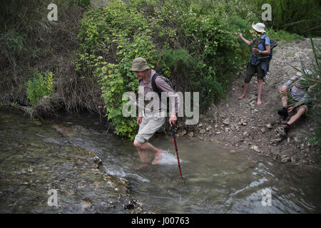 A 69 year old senior citizen hiker carries his boots while carefully crossing a narrow stream, his friends take their boots off too ready to follow. Stock Photo