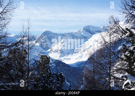Mountains and Forest in Winter, Zermatt, Valais, Switzerland Stock Photo