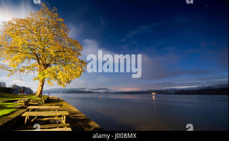 A tree displaying autumn colours is lit up at night at Ambleside Youth Hostel on Windermere Lake in England's Lake District National Park. Stock Photo