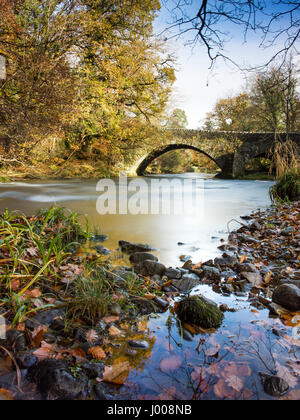 The River Brathay mountain stream flows through woodland filled with autumn colours and under Clappersgate Bridge near Ambleside in England's Lake Dis Stock Photo