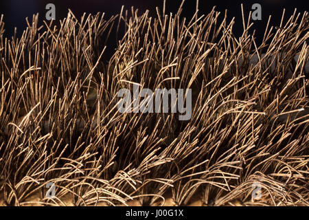 Closeup of the bristles on an old wire brush Stock Photo