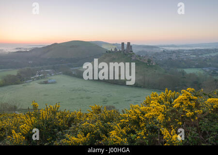 Corfe Castle, Dorset, UK. 8th April 2017. Glorious misty crisp sunrise over the Isle of Purbeck and the iconic, historic ruins of Corfe Castle. © DTNews/Alamy Live
