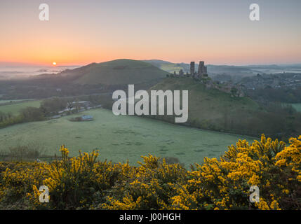Corfe Castle, Dorset, UK. 8th April 2017. Glorious misty crisp sunrise over the Isle of Purbeck and the iconic, historic ruins of Corfe Castle. © DTNe