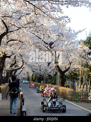 Tokyo, Japan. 7th Apr, 2017. People drive karts under cherry blossoms in Tokyo, Japan, on April 7, 2017. Credit: Ma Ping/Xinhua/Alamy Live News Stock Photo