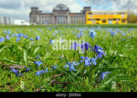 Berlin, Germany. 8th Apr, 2017. Ageratum blossom in front of the Reichstag building in Berlin, Germany, 8 April 2017. Photo: Maurizio Gambarini/dpa/Alamy Live News Stock Photo