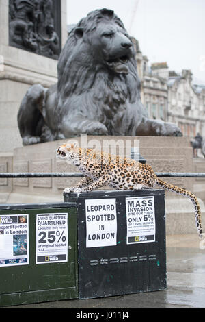 Nat Geo WILD unveils the world’s first hyper realistic animatronic leopard to mark the launch of Big Cat Week (6-12 March), in association with charity the Big Cats Initiative.  Featuring: Leopard Where: London, United Kingdom When: 08 Mar 2017 Stock Photo