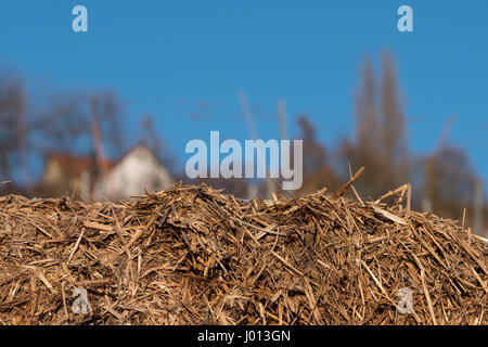 Straw bale in foreground with blurred background Stock Photo