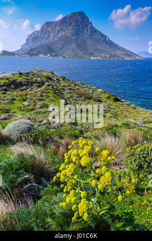 Telendos Island seen from Kalymnos with Giant Fennel in the foregound Stock Photo