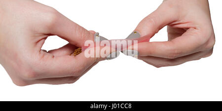 Hands of a woman rolling a cigarette with rolling tobacco on clear background. Soft focus. Stock Photo