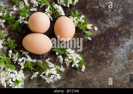 Uncolored natural easter eggs in green espresso cups, happy easter concept with white spring flowers, retro easter background Stock Photo