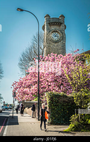 People walking down Forest Hill outside the Horniman Museum, London, SE23, England, UK Stock Photo