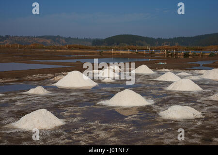 Pyramids of salt, made using traditional artisan methods in specially constructed lagoons at Cahuil on the coast of Chile. Stock Photo