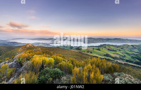 View from Mount Cargill Dunedin with Otago Harbor and Otago Peninsula, Sunset, Dunedin, Otago, Southland, New Zealand Stock Photo