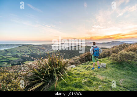 Hiker enjoying view from Mount Cargill Dunedin with Otago Harbor and Otago Peninsula, Sunset, Dunedin, Otago, Southland Stock Photo