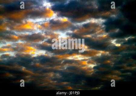 Contrasting, Impressionistic looking clouds cluster in the blue sky above at sunset Stock Photo