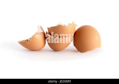 Eggshell from few eggs on white background Stock Photo