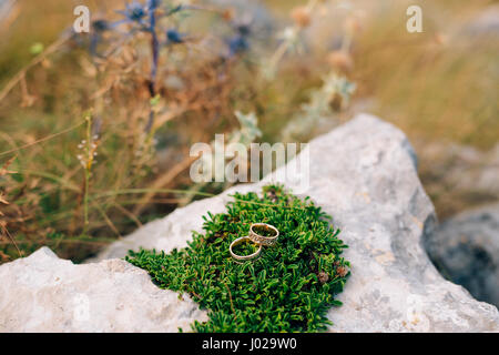 Wedding rings on a green moss on the rocks. Wedding jewelry. Stock Photo