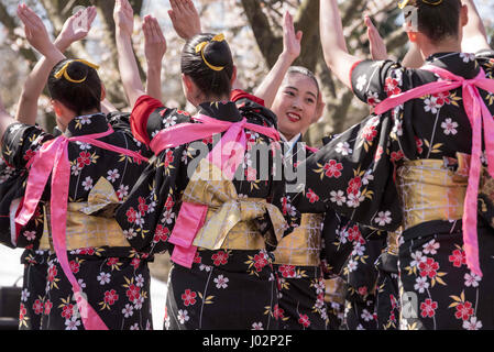 Philadelphia, Pennsylvania, USA. 9th Apr, 2017. Taiko dancers from the Tamagawa University of Japan, performing at the 20th anniversary of the City of Philadelphia's Sakura Sunday sponsored by Subaru of America and the Japan America Society of Greater Philadelphia The event was held in the historical horticulture center in west Fairmount Park Credit: Ricky Fitchett/ZUMA Wire/Alamy Live News Stock Photo