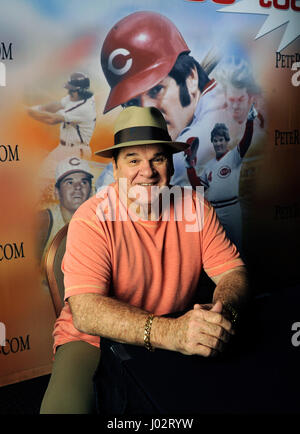 July 11, 2013 - Las Vegas, Nevada, U.S. -  Former Major League Baseball player PETE ROSE poses before signing autographs at the Art of the Music inside the Shoppes at Mandalay Place July 11, 2013, in Las Vegas, Nevada. Rose signs autographs 15-20 days a month. (Credit Image: © David Becker via ZUMA Wire) Stock Photo