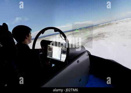 Boeing fighter jet flight simulator - USA Stock Photo