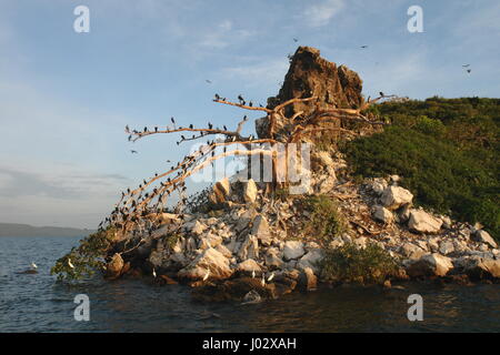 Lake Victoria at sunset Stock Photo