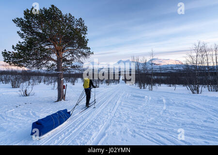 Ski touring in Abisko region and national park, Sweden, Europe Stock Photo