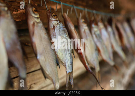 fish drying on rope Stock Photo