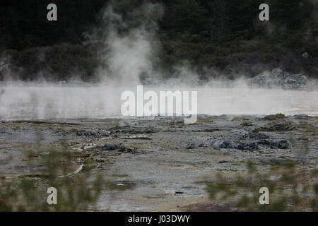 Delve deep into the hellish world of Hell's Gate Sulphur Springs in Tikitere, New Zealand. Stock Photo