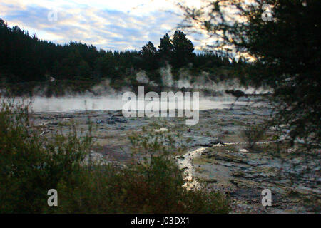 Delve deep into the hellish world of Hell's Gate Sulphur Springs in Tikitere, New Zealand. Stock Photo