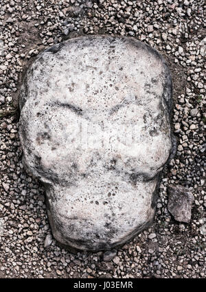 ancient skull stone sculpture embedded in ground of the ball court at Coba Mayan Ruins, Mexico, where the Mayan played the ball game and the losers we Stock Photo