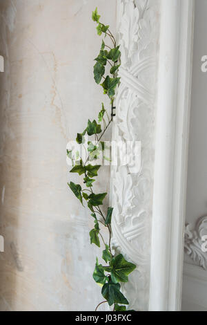 White art stucco gypsum wall with a grean loach branch on it Stock Photo