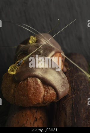 Dessert -Eclair with chocolate and golden caramel on black background Stock Photo