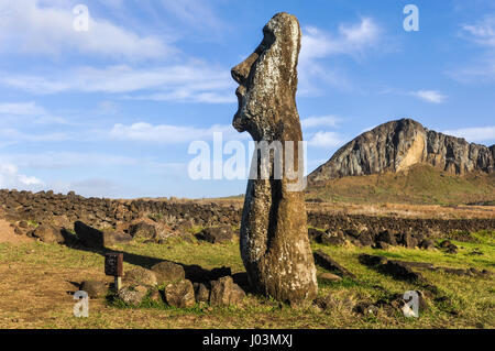 Standing lonely moai statue near the Ahu Tongariki Site on the coast of Easter Island, Chile Stock Photo