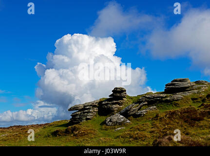 Hookney Tor, Dartmoor National Park, Devon, England UK Stock Photo