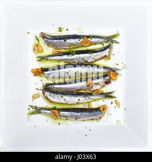 Anchovies marinated in olive oil and cooked at a low temperature on a white plate. Stock Photo