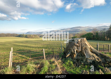 View from Penhyn Castle looking towards Llanfairfechan and Penmaenmawr on the North Wales coast. Stock Photo