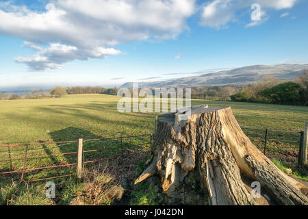 View from Penhyn Castle looking towards Llanfairfechan and Penmaenmawr on the North Wales coast. Stock Photo