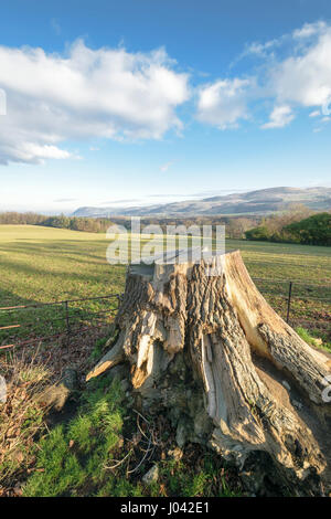 View from Penhyn Castle looking towards Llanfairfechan and Penmaenmawr on the North Wales coast. Stock Photo