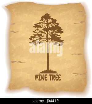 Pine Tree on Old Paper Stock Vector