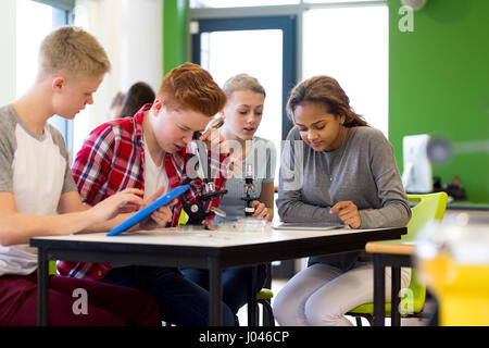Students in a science lesson are using a microscope to look at cells. They are using a digital tablet to research. Stock Photo