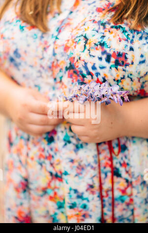 A branch of wisteria flowers in girl's hands Stock Photo