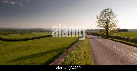 A road runs through agricultural fields and pastures across the Mendip Hills towards the Somerset Levels in south west England. Stock Photo