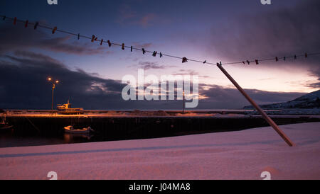 Line of fishing boats at dusk in the harbour, Sozopol ...