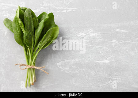Bunch of fresh spinach leaves Stock Photo
