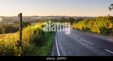 A footpost fingerpost points across a hedge and through farmland fields beside the A352 road near Sherborne in north west Dorset. Stock Photo