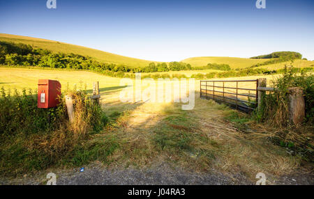 Early morning sun shines on fields of pasture and crop stubble in the rolling hills of Melbury Abbas in north Dorset. Stock Photo