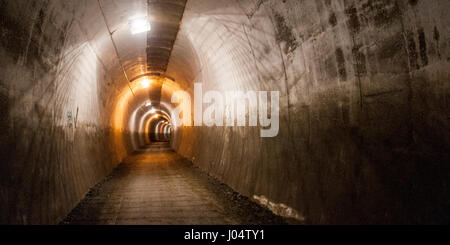 A 'rail trail' cycleway and footpath, the TransPennine Trail, runs through a disused tunnel on an old railway at Penistone in South Yorkshire, England Stock Photo