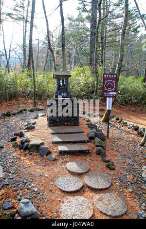 Yama Jinja Shinto Shrine Fujiyoshida Yamanashi Japan Stock Photo