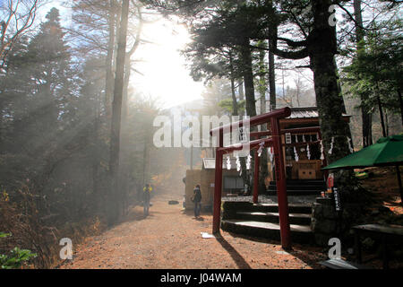 Yama Jinja Shinto Shrine Fujiyoshida Yamanashi Japan Stock Photo